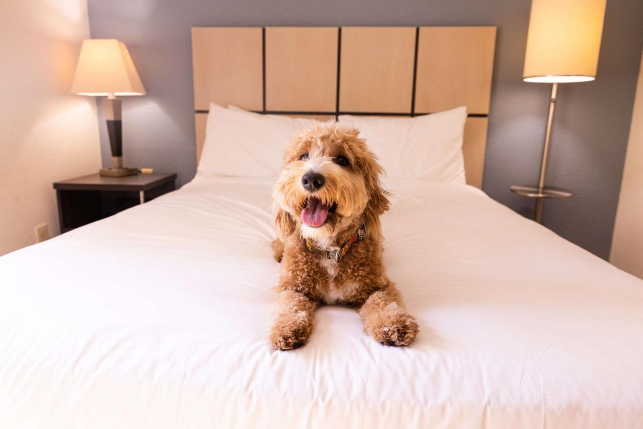 Sonesta Simply Chicago Hotel Libertyville